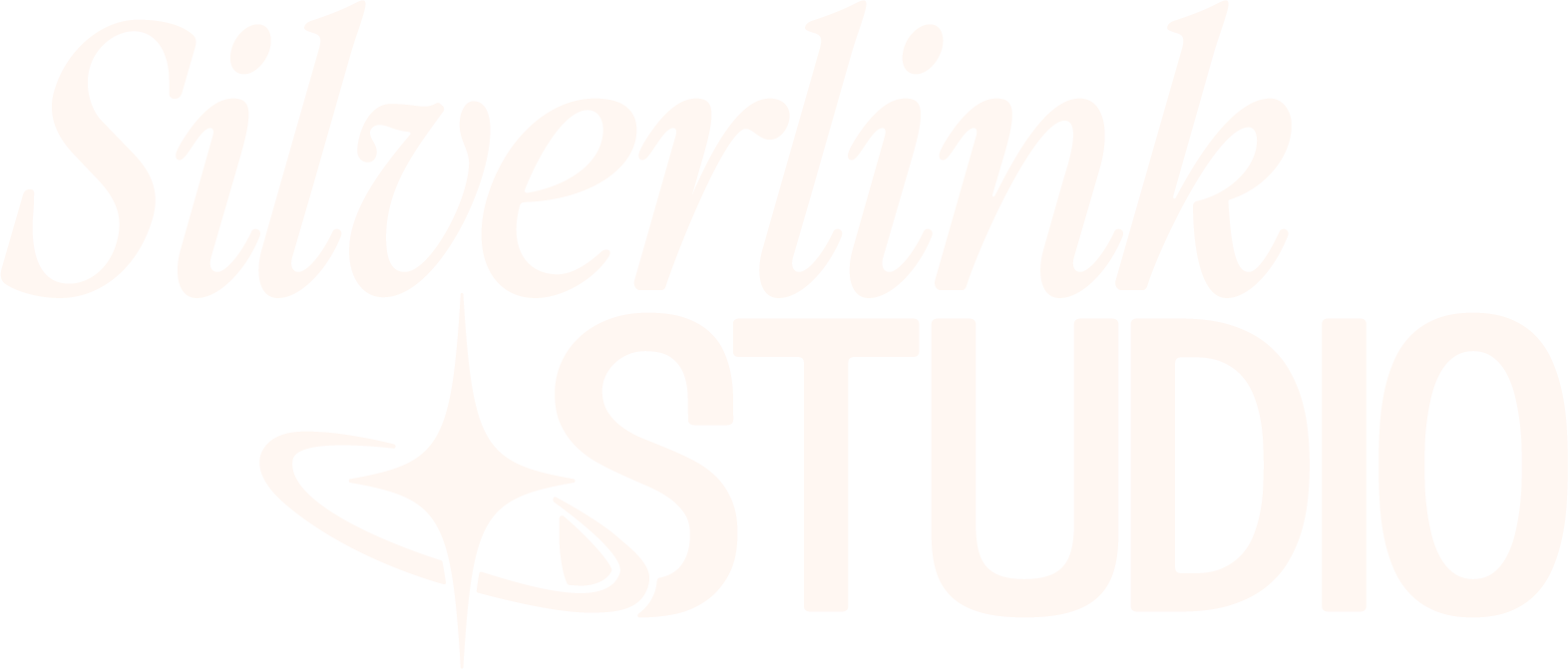 Silverlink Studio